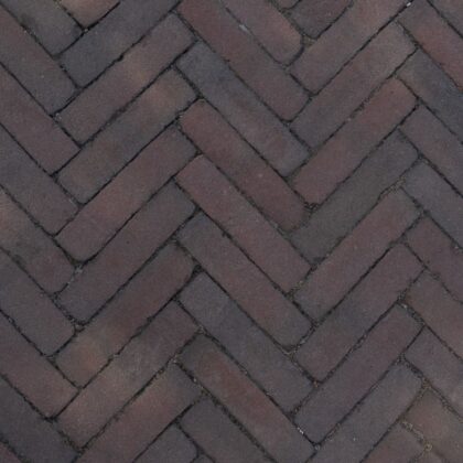 Art Bricks Waalformaat 5x20x6cm Fabritius Rood/Bruin.