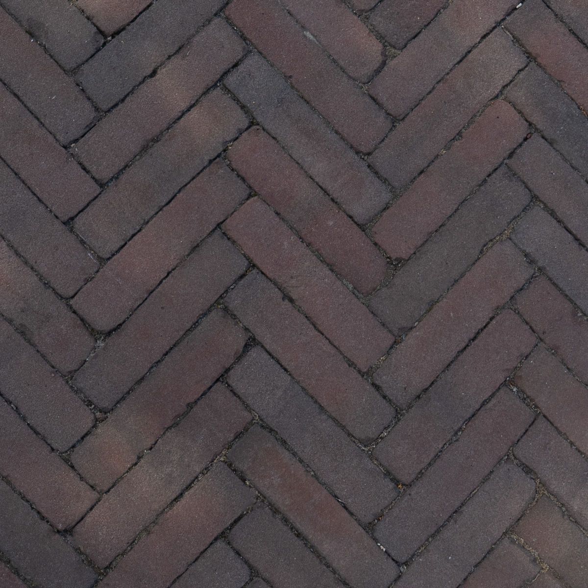 Art Bricks Waalformaat 5x20x6cm Fabritius Rood/Bruin.