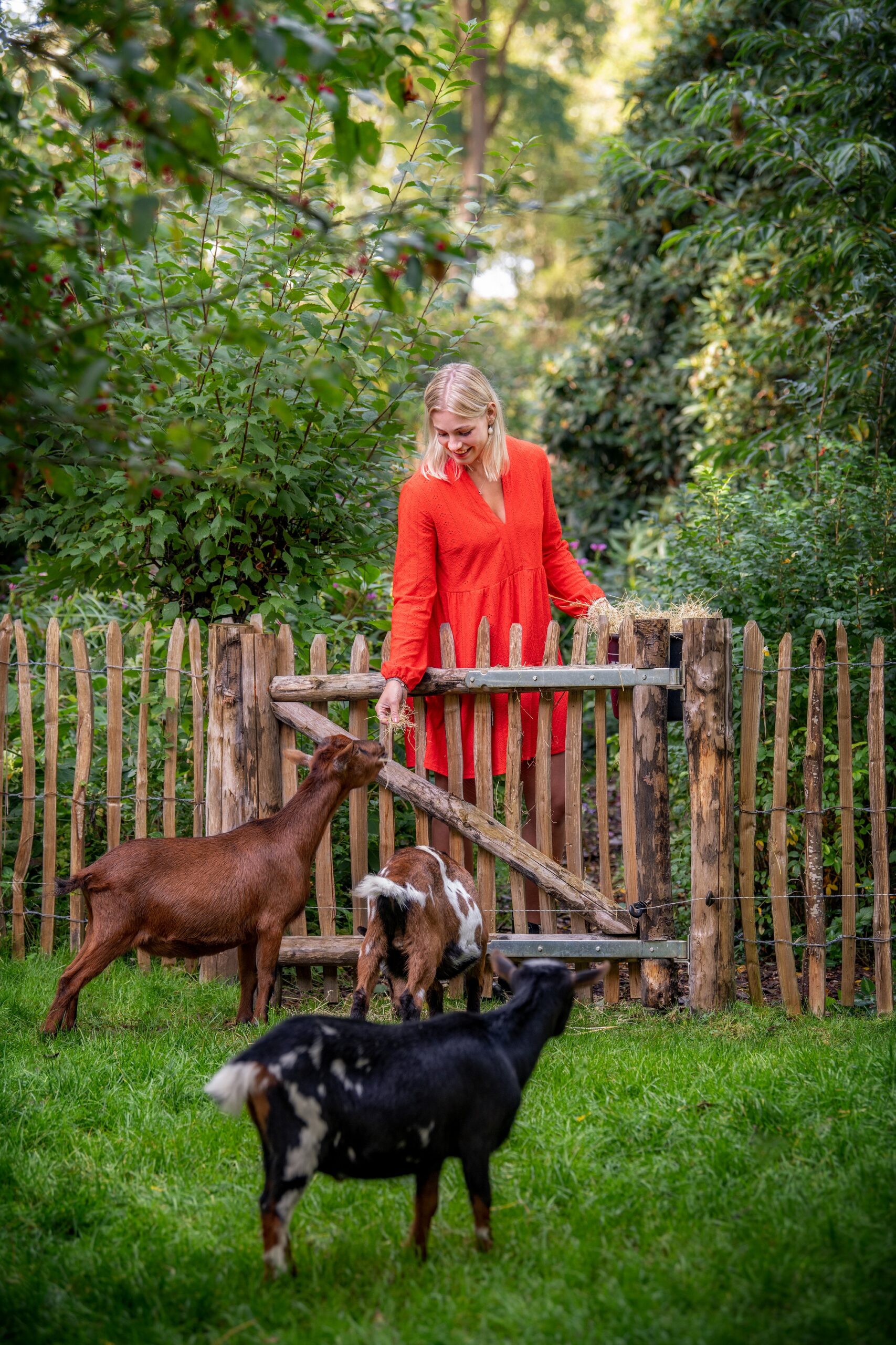 Kastanjepoort compleet B120 x H100 cm