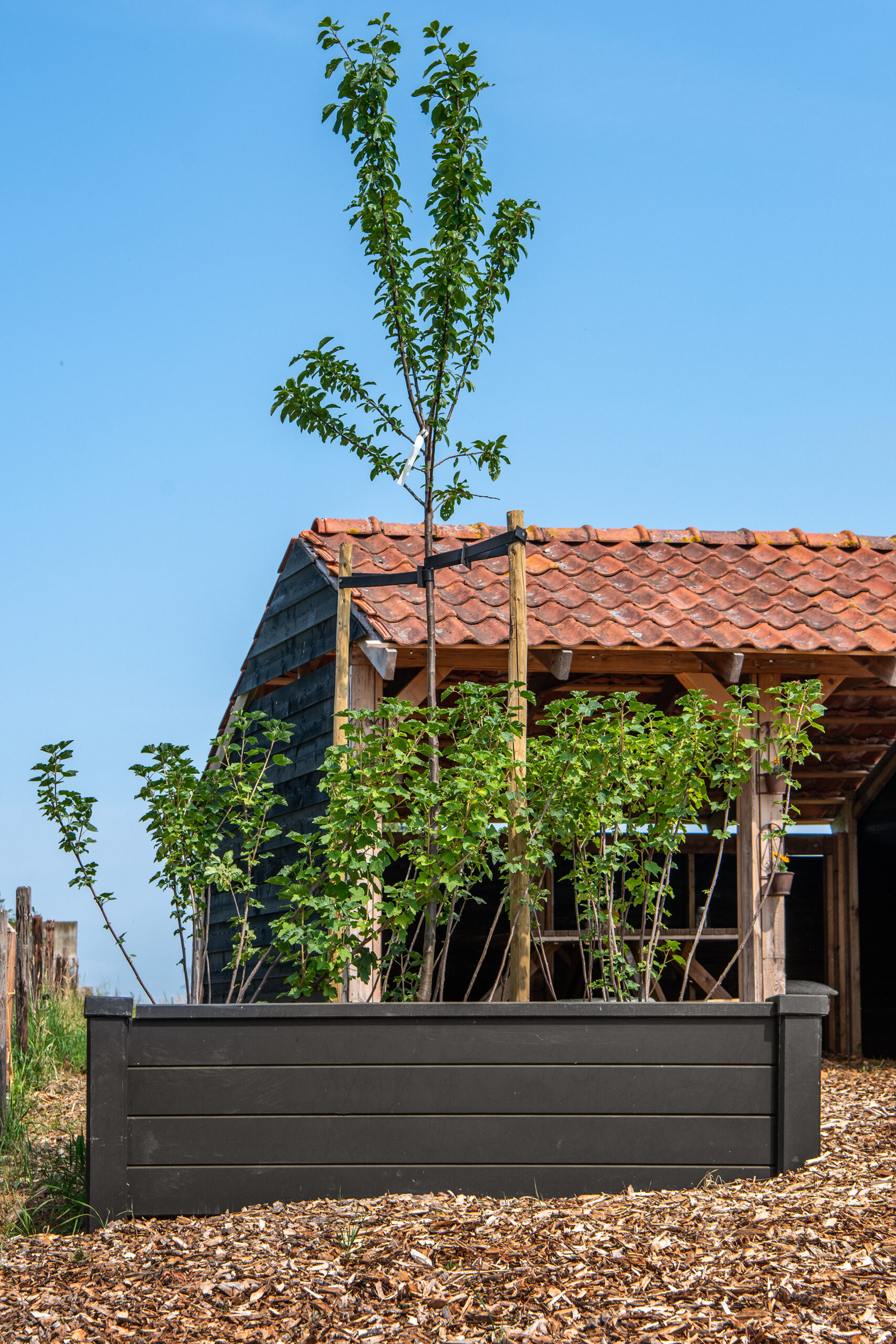 Berton©-bloembak zelfbouw Blokhut motief 200x200x50cm