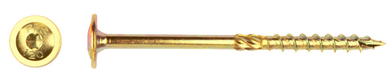 Flenskopschroef geelverzinkt torx 40 - 8,0 x 260 mm