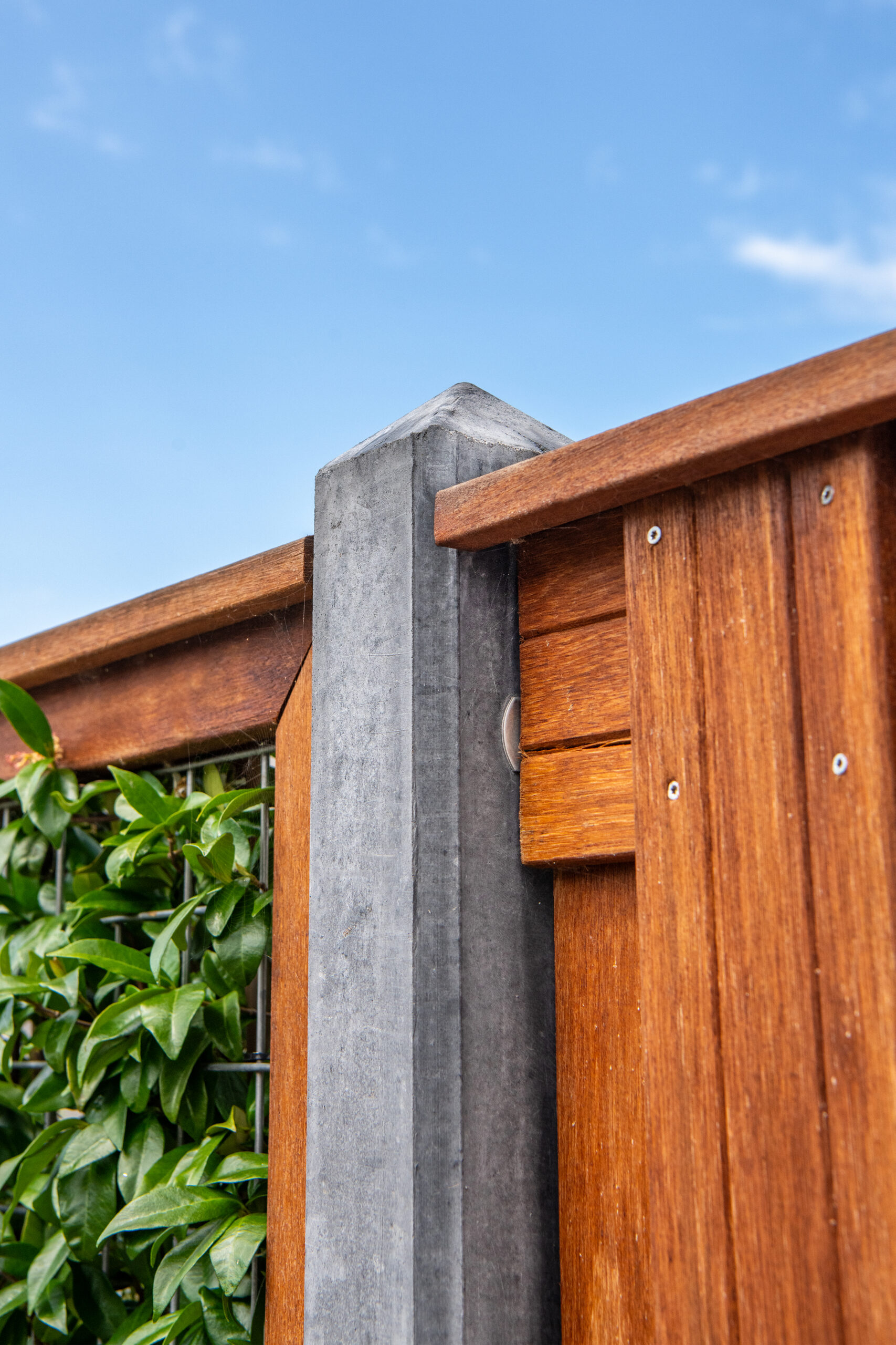 Keruing hardhout afdekkap plat 1,2 x 8,8 x 183 cm kunstmatig gedroogd, geschaafd, gekeept