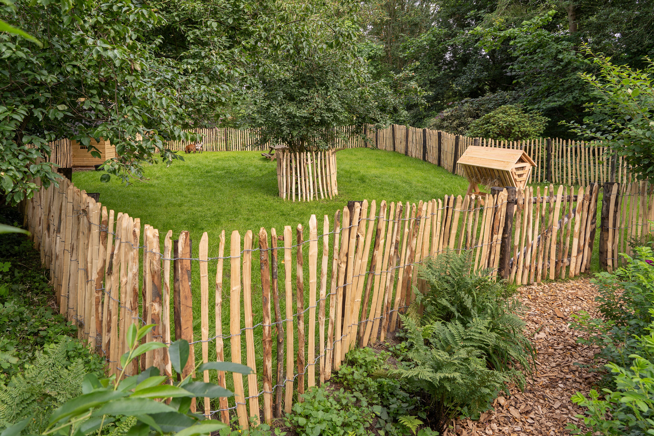 Engelse kastanjerol, 3 draden, latafstand 5,0 cm L460 x H120 cm