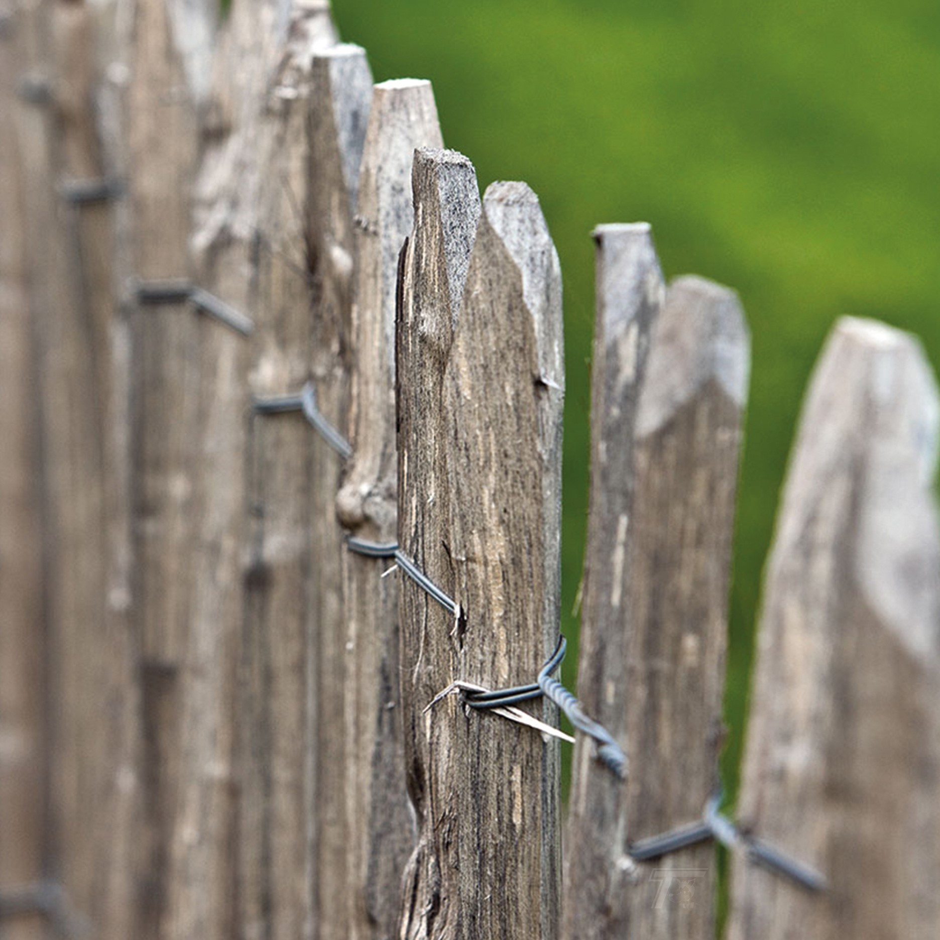 Engelse kastanjerol, 3 draden, latafstand 5,0 cm L460 x H105 cm