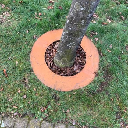 Boomring Cortenstaal Ø1000x200mm [3mm]