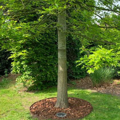 Kantopsluiting boomring Cortenstaal Ø1000mm [1mm]