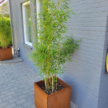 Vierkante plantenbak Cortenstaal 500x500x500mm [2mm]