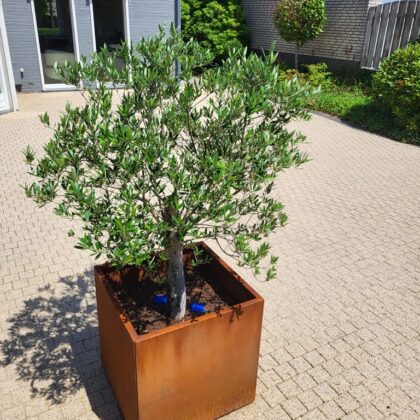 Vierkante plantenbak Cortenstaal 400x400x400mm [2mm]