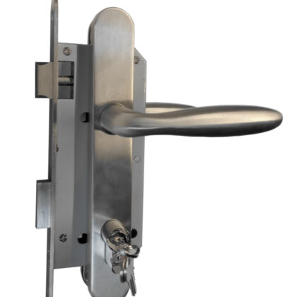 Set voor tuindeuren RVS 74x170mm (deurschild + afgeronde deurkruk)