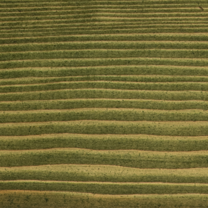 Embadecor Dennengroen 2,5 ltr