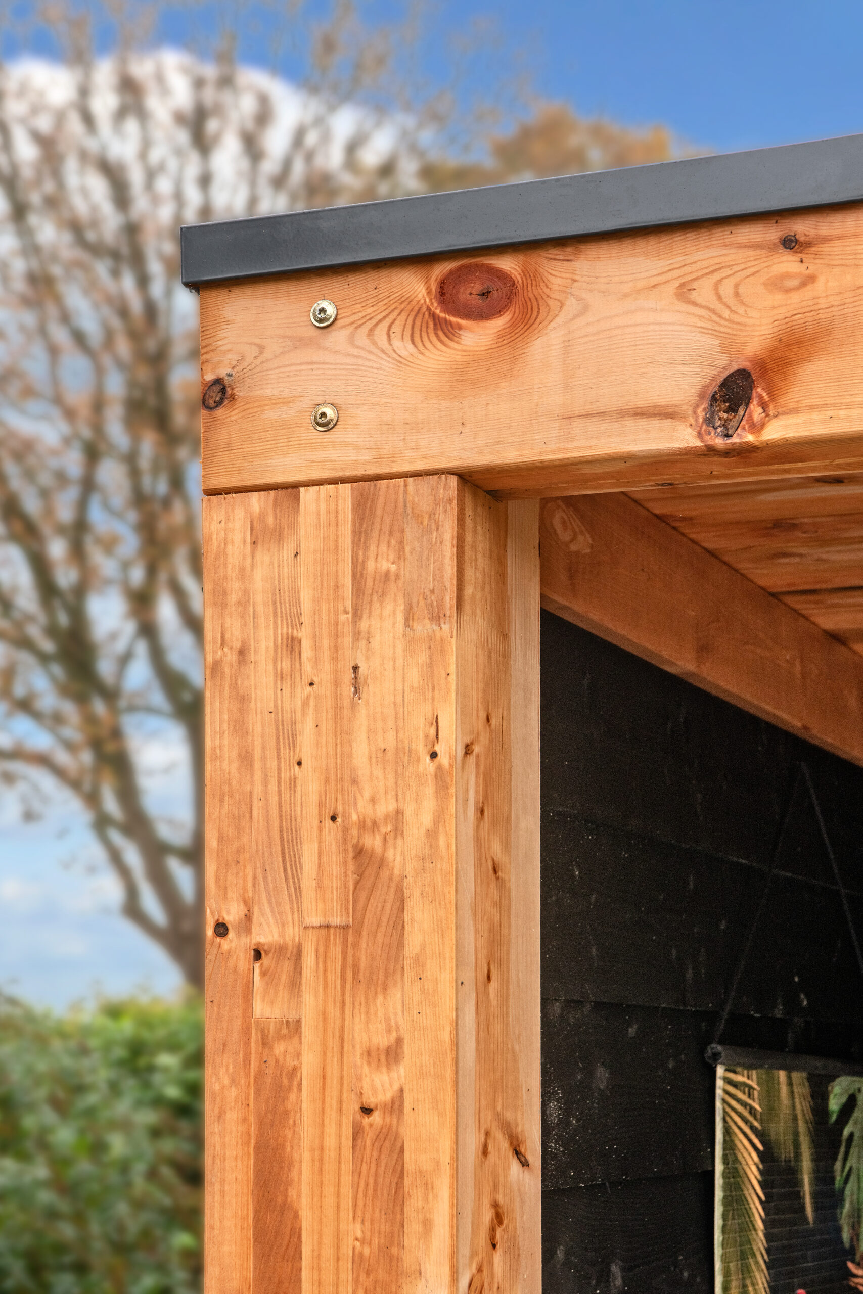 DHZ Renesse Red Class Wood 600 x 313 cm